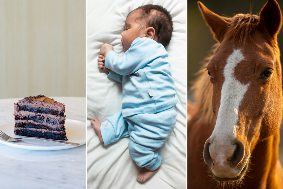 cake, sleeping baby, horse, idioms, language