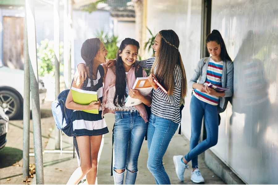 popularity, popular kids, cool kids, high school, likeability